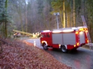 Strumschaden_Kyrill_4
