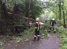 02.06.2016 Baum über Fahrbahn Doblmühle