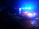 Brand Pkw Otterskirchen_5