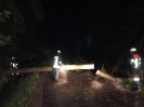 Unwetter 2017_2
