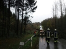 29.10.2017 Sturm, Bäume über Fahrbahn