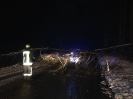 20.01.2018 Baum auf Fahrbahn 