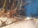 05.01.2019 Baum über Fahrbahn_3