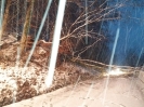 05.01.2019 Baum über Fahrbahn_4