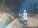 05.01.2019 Baum über Fahrbahn_5