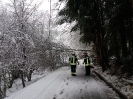 05.01.2019 Baum über Fahrbahn