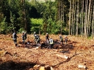 Waldbrand_2