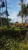 Waldbrand_5
