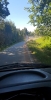 09.09.2020 Ölspur_2