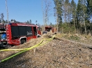 27.03.2020 Waldbrand Neuhofen