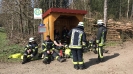 Waldbrand Neuhofen_1
