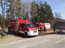Waldbrand Neuhofen_2