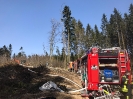 Waldbrand Neuhofen_6