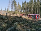 27.03.2020 Waldbrand Neuhofen