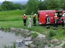Brandübung Vordergalgenberg_50