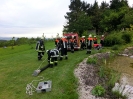 Brandübung Vordergalgenberg_5